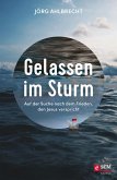 Gelassen im Sturm (eBook, ePUB)