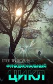 Функциональный цикл (eBook, ePUB)