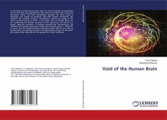 Void of the Human Brain