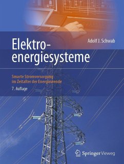 Elektroenergiesysteme - Schwab, Adolf J.