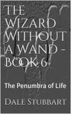 The Wizard Without a Wand - Book 6: The Penumbra of Life (eBook, ePUB)