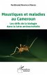 Moustiques et maladies au Cameroun - Bild 1
