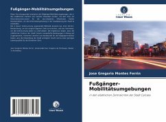 Fußgänger-Mobilitätsumgebungen - Montes Ferrin, Jose Gregorio