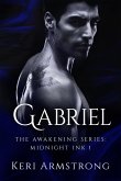 Midnight Ink: Gabriel (The Awakening - Mutts Like Me, #6) (eBook, ePUB)