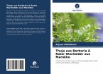 Thuja aus Berberia & Roter Wacholder aus Marokko