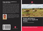 Áreas agrícolas e pastoris na região de Zinder