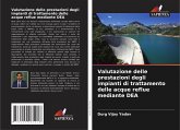 Valutazione delle prestazioni degli impianti di trattamento delle acque reflue mediante DEA