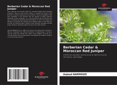 Berberian Cedar & Moroccan Red Juniper - Harmouzi, Anjoud