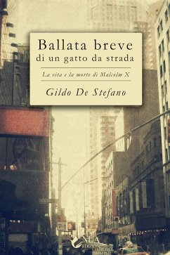 Ballata breve di un gatto da strada (eBook, ePUB) - De Stefano, Gildo