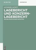 Lagebericht und Konzernlagebericht (eBook, PDF)