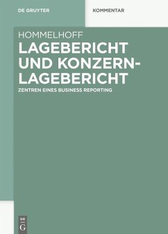 Lagebericht und Konzernlagebericht (eBook, PDF) - Hommelhoff, Peter
