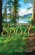 In Step with the Spirit (eBook, ePUB) - Bild 1