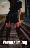 Pervers im Zug (eBook, ePUB)