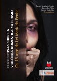 Perspectivas sobre a violência doméstica no Brasil (eBook, ePUB)