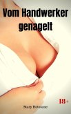 Vom Handwerker genagelt (eBook, ePUB)