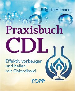 Praxisbuch CDL - Hamann, Brigitte