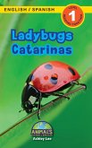 Ladybugs / Catarinas