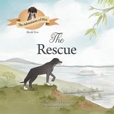 The Rescue