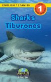 Sharks / Tiburones