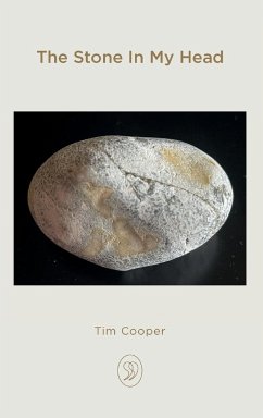 The Stone In My Head - Cooper, Tim