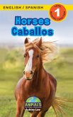 Horses / Caballos