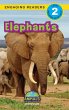Elephants - Bild 1