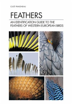 Feathers (eBook, PDF) - Fraigneau, Cloé