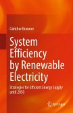 System Efficiency by Renewable Electricity (eBook, PDF)