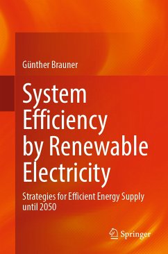 System Efficiency by Renewable Electricity (eBook, PDF) - Brauner, Günther