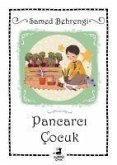 Pancarci Cocuk