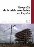 Geografía de la crisis económica en España (eBook, PDF)