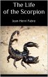 The Life of the Scorpion (eBook, ePUB) - Bild 1