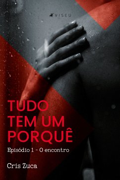 Tudo tem um porquê (eBook, ePUB) - Zuca, Cris