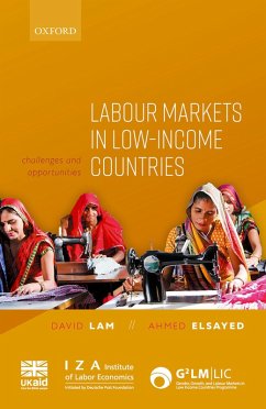 Cover Labour Markets in Low-Income Countries (eBook, ePUB)