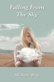 Falling From the Sky (eBook, ePUB)