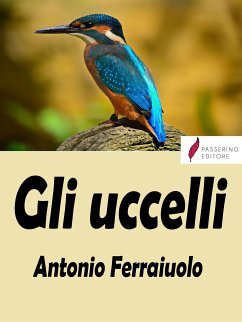 Gli uccelli (eBook, ePUB) - Ferraiuolo, Antonio