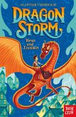 Dragon Storm: Tomas and Ironskin (eBook, ePUB)