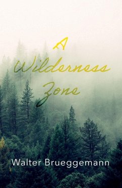 A Wilderness Zone - Brueggemann, Walter