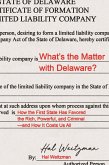 What's the Matter with Delaware? (eBook, PDF)