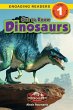Get to Know Dinosaurs - Bild 1