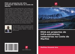 ESIA em projectos de infra-estruturas rodoviárias na Costa do Marfim - Ano, Mathieu Kouamé