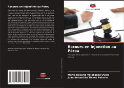 Recours en injonction au Pérou - Velásquez Oyola, María Rosario;Tisnés Palacio, Juan Sebastián
