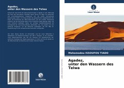 Agadez, unter den Wassern des Telwa - Issoufou Tiado, Mahamadou