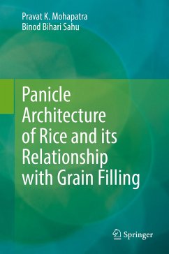 Panicle Architecture of Rice and its Relationship with Grain Filling (eBook, PDF) - Mohapatra, Pravat K.; Sahu, Binod Bihari