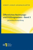 Öffentliches Rechnungs- und Prüfungswesen - Band 3 (eBook, PDF)