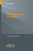 Risikomanagement in Kommunen (eBook, PDF)