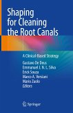 Shaping for Cleaning the Root Canals (eBook, PDF)