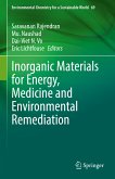 Inorganic Materials for Energy, Medicine and Environmental Remediation (eBook, PDF)