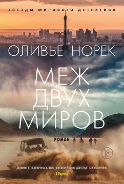 Surface (eBook, ePUB) - Norek, Olivier