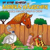 Die kleine Schnecke Monika Häuschen - CD / 63: Warum schlafen Pferde so wenig? / Die kleine Schnecke, Monika Häuschen, Audio-CDs 63